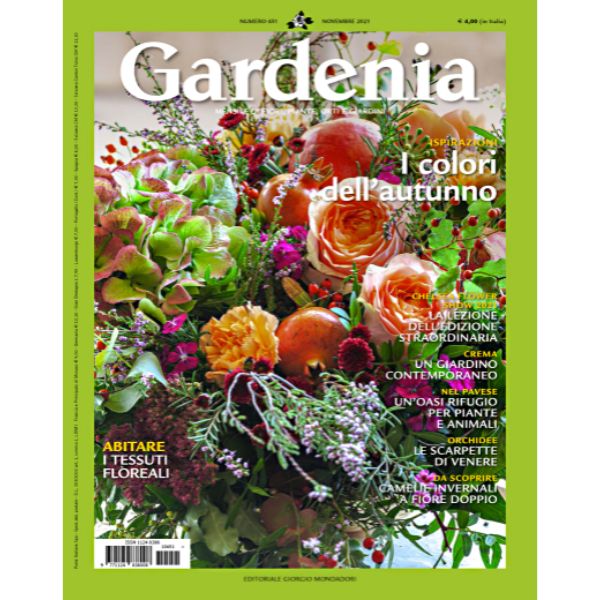 Gardenia-Novembre-2021